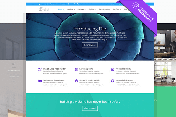 A screenshot of the Divi theme.